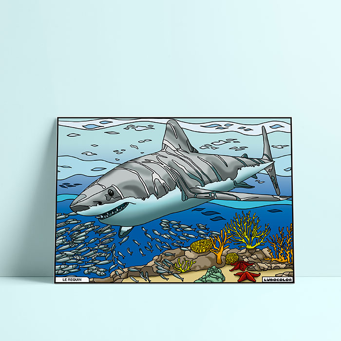 Coloriage velours requin