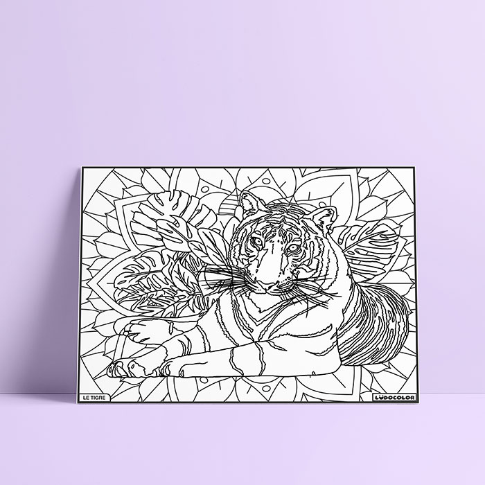 Coloriage velours tigre