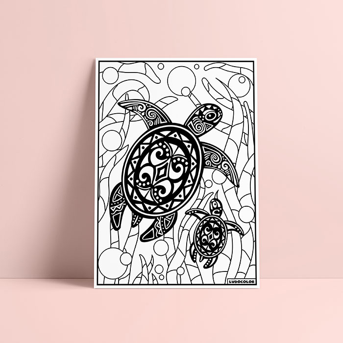 Coloriage velours Tortue