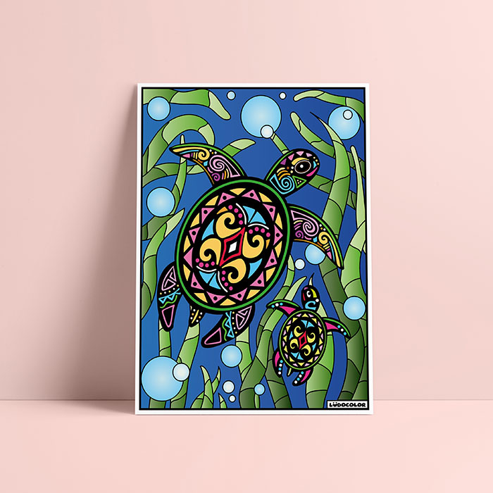 Coloriage velours Tortue