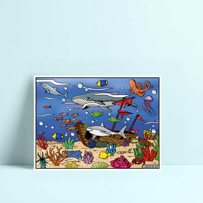 Tableau Velours modèle couleur