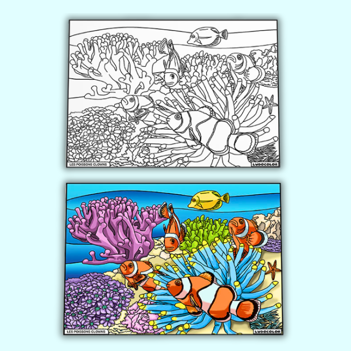 Tableau Velours